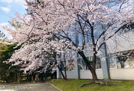 谷山 愛美様 学生時代を振り返って画像